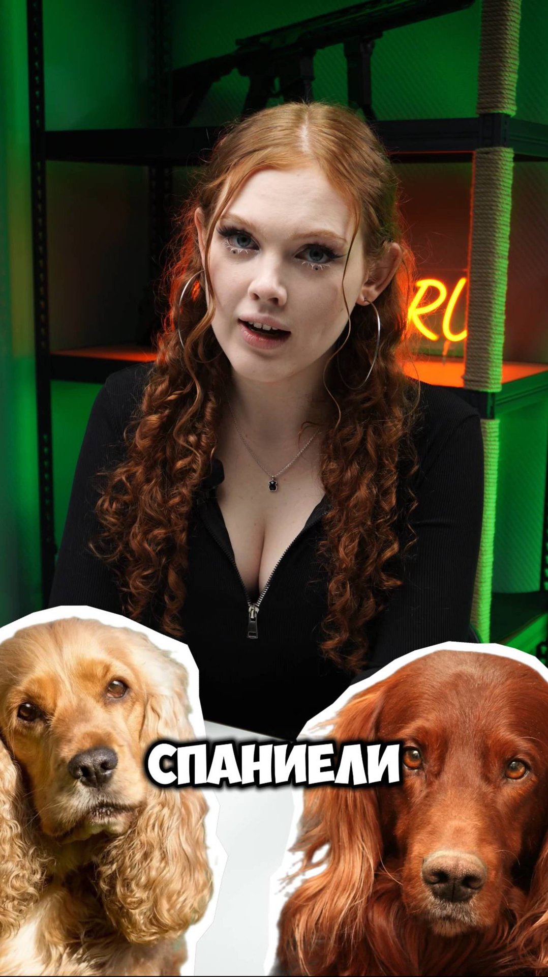 🐶 ЛУЧШИЕ ПОРОДЫ СОБАК ДЛЯ ОХОТЫ! #охота #тепловизор #тепловизионныйприцел #собака #охотассобакой смотреть онлайн