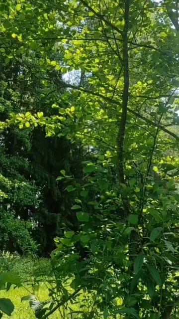 (40) Библия Евангелие от Иоанна глава 9 стих 29-41 смотреть онлайн