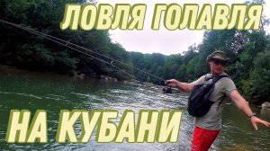 Ловля голавля на Кубани