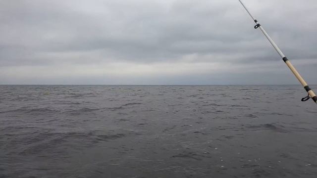 Рыбалка на Финском заливе. Отчёт за 08.10.2021. ЮБРЛС.