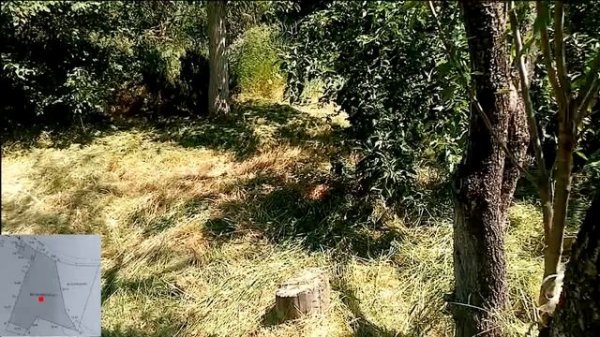 Дом и участок