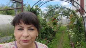 Мои идеи по обустройству участка. Отвечаю на вопросы. Как сделать арки. Про черенки роз.