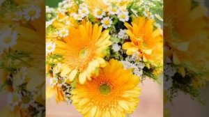 Любимая моя Игорь Балан