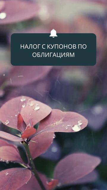 Налоги инвестора. #shorts #инвестиции смотреть онлайн