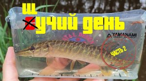 #мормышинг | Микро речка | ДА СКОЛЬКО ТУТ ЩУКИ? | Часть2 |