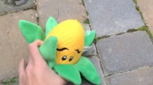 Plants vs. Zombies: Heat Wave