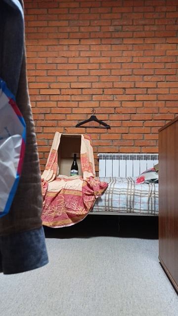 бульдог против шампанского