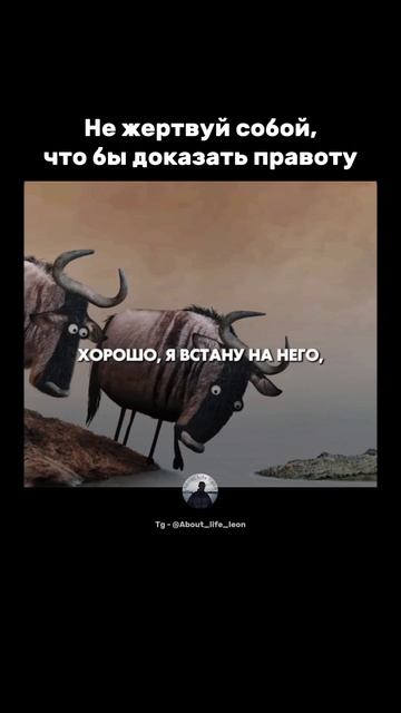 Зачем я тратил время на доказательства.. Tg - @About_life_leon #успех #мотивация #саморазвитие смотреть онлайн