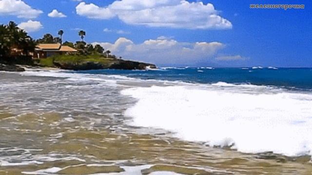 Истории из жизни. Счастлива без него. Не выдуманные истории смотреть онлайн