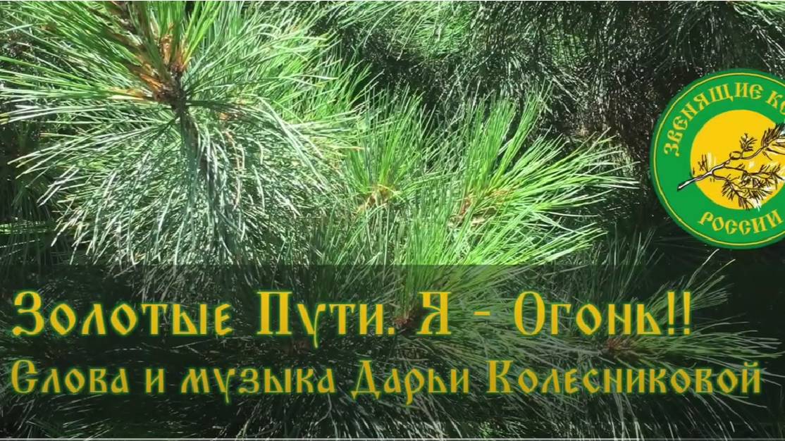 Наша Дарья - По Золотому пути (авторская) смотреть онлайн