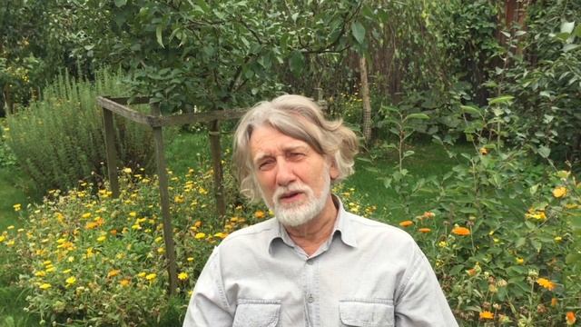 Демоны медитации и другие феномены смотреть онлайн