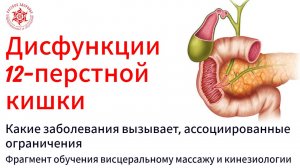 Дисфункции двенадцатиперстной кишки. Какие заболевания вызывает, ассоциированные ограничения.