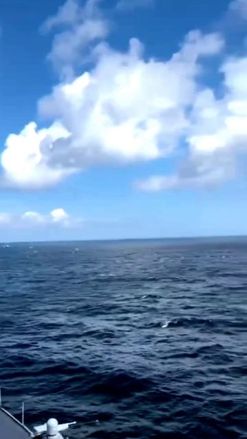 Мимо корабля США пролетают СУ 24