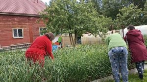 Мой дачный рай. Трудимся все.