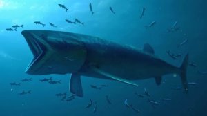 Монстры Древности: Кого Ели Доисторические Хищники?