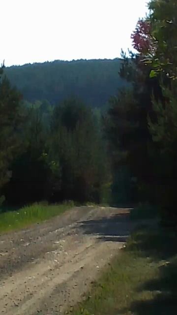 Дорога в дикие земли смотреть онлайн