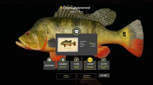 СУПЕР КЛЕВ НА ЛОСИНОМ ОЗЕРЕ И КУЧА ФАРМА НА ЯМЕ И МЕДНОМ В РУССКОЙ РЫБАЛКЕ 4 РР4