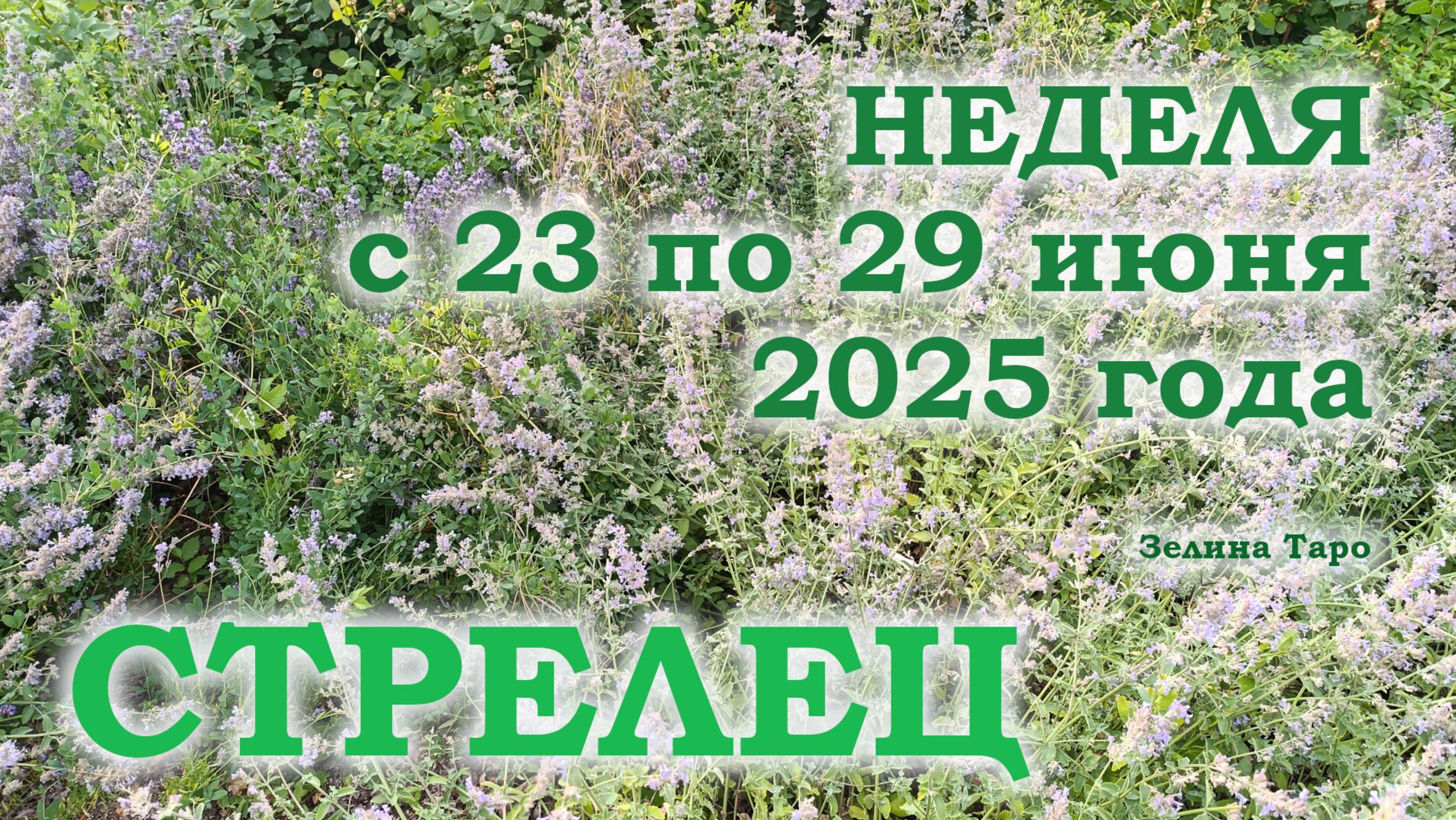 СТРЕЛЕЦ | ТАРО прогноз на неделю с 23 по 29 июня 2025 года