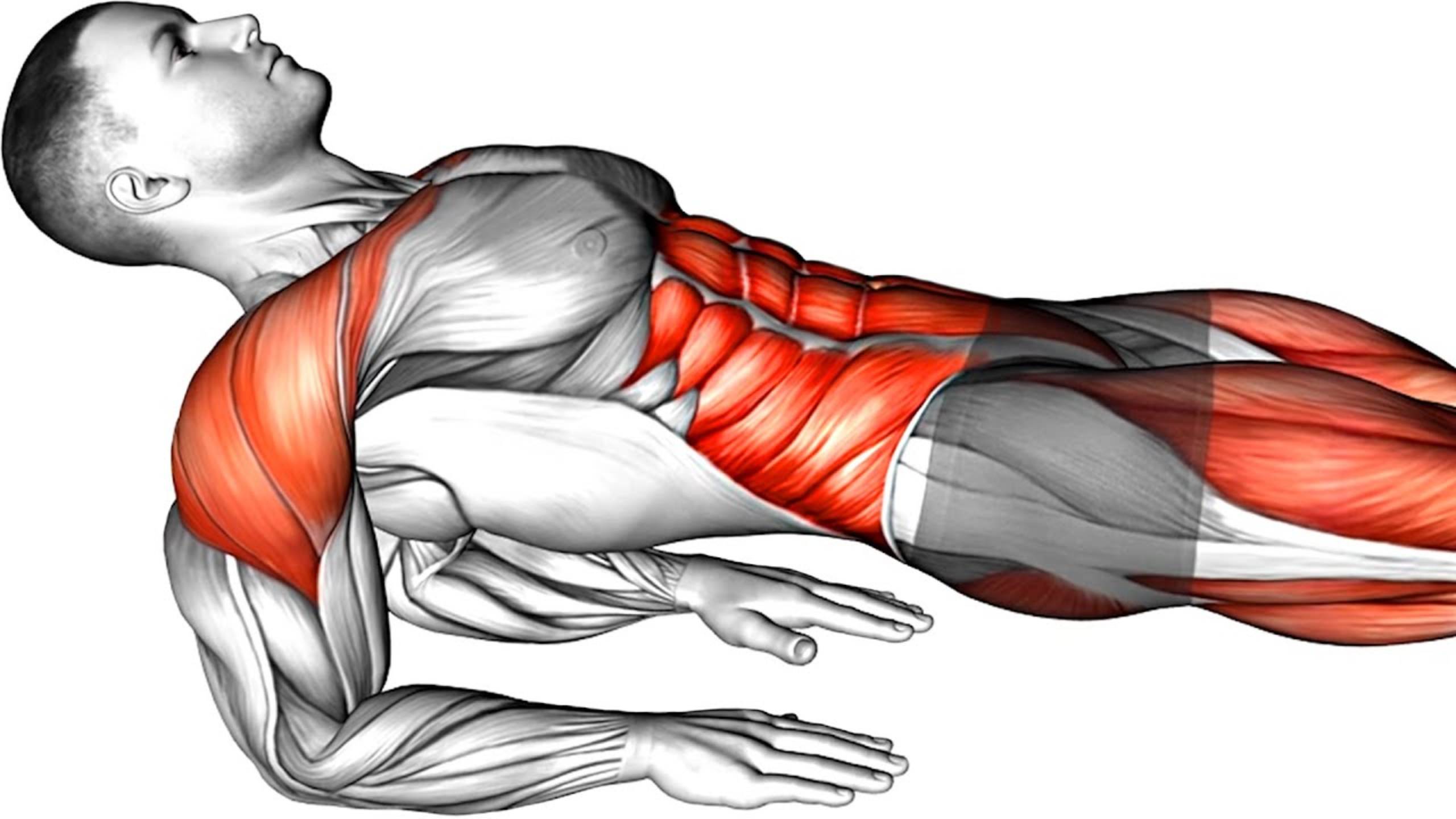 Домашняя Тренировка Пресса (где угодно только на полу) смотреть онлайн