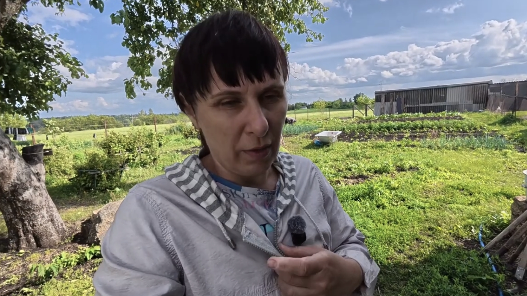 Домик у Церкви сельская жизнь. Убрала укроп, пропололи грядки. Что-то сегодня не то.. смотреть онлайн