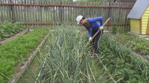 6 соток 19 июня 2025 года. 2 часть.