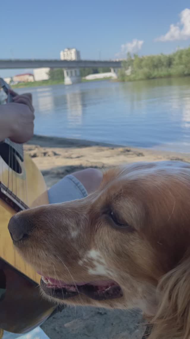 Хорошо отдыхать на природе!