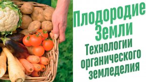 Технологии органического земледелия.