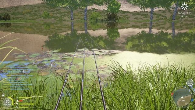 Как ловить ТАРАНЬ. Актуальная ТОЧКА - 700/час ● Русская Рыбалка 4 | РР4