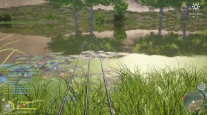 Как ловить ТАРАНЬ. Актуальная ТОЧКА - 700/час ● Русская Рыбалка 4 | РР4