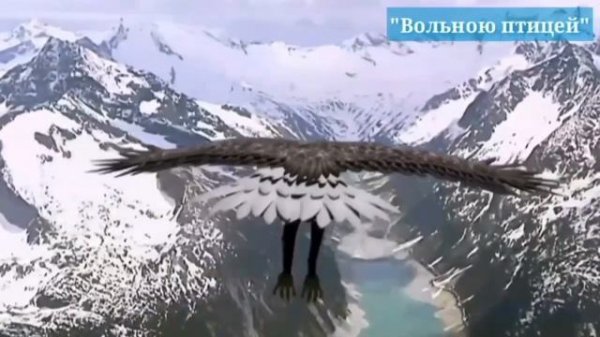 Я птицей вольною летаю