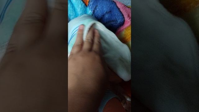 Влог с Томми 😊 .Часть2