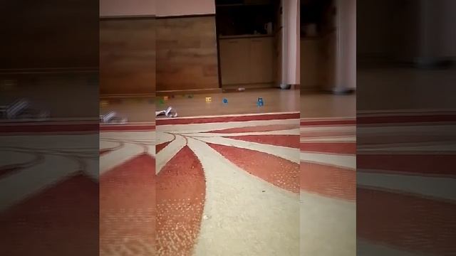 башня из СТУЛЬЕВ🪑 смотреть онлайн