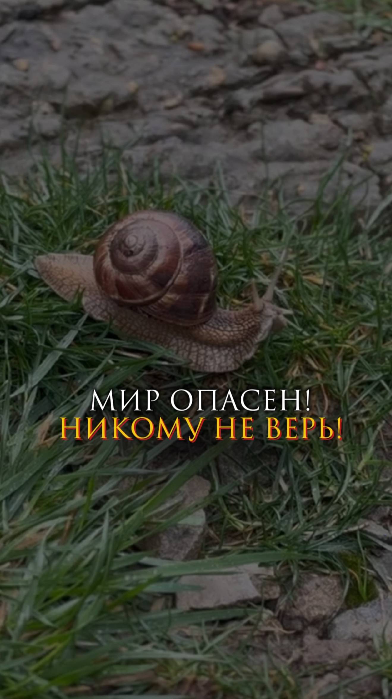 Мир опасен! Никому не верь! смотреть онлайн