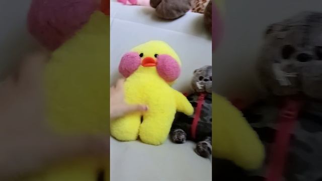 пополнение У УТОЧКИ ЕСТЬ БРАТ?? смотреть онлайн