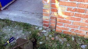 STIHL FS-250 и его уникальная косильная «головка»!)