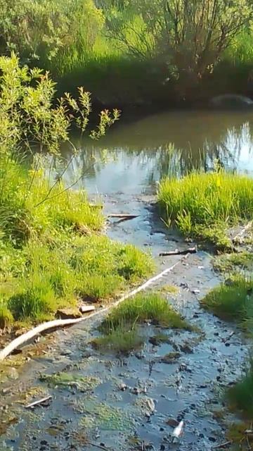 Подземные воды питают речку смотреть онлайн