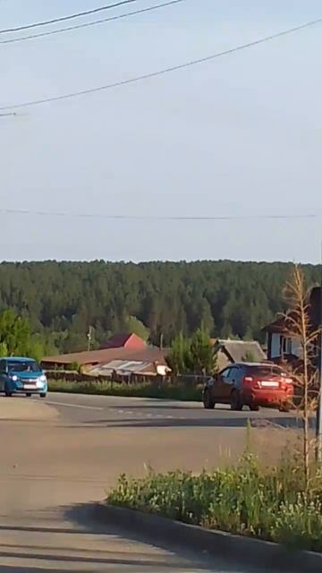 Лесистый холм на горизонте смотреть онлайн