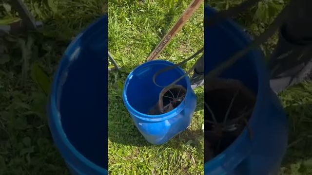 Самый простой способ снятия роя с высоты