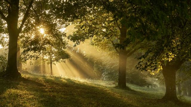 Светозар и Группа Аура Мира - Сила Предков