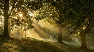 Светозар и Группа Аура Мира - Сила Предков