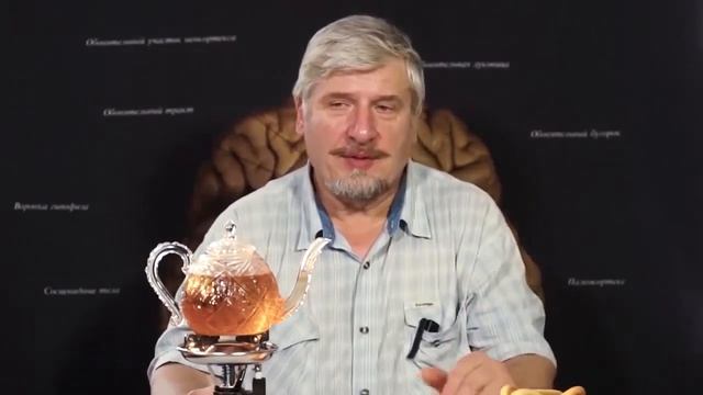 Люди довольно странные существа смотреть онлайн