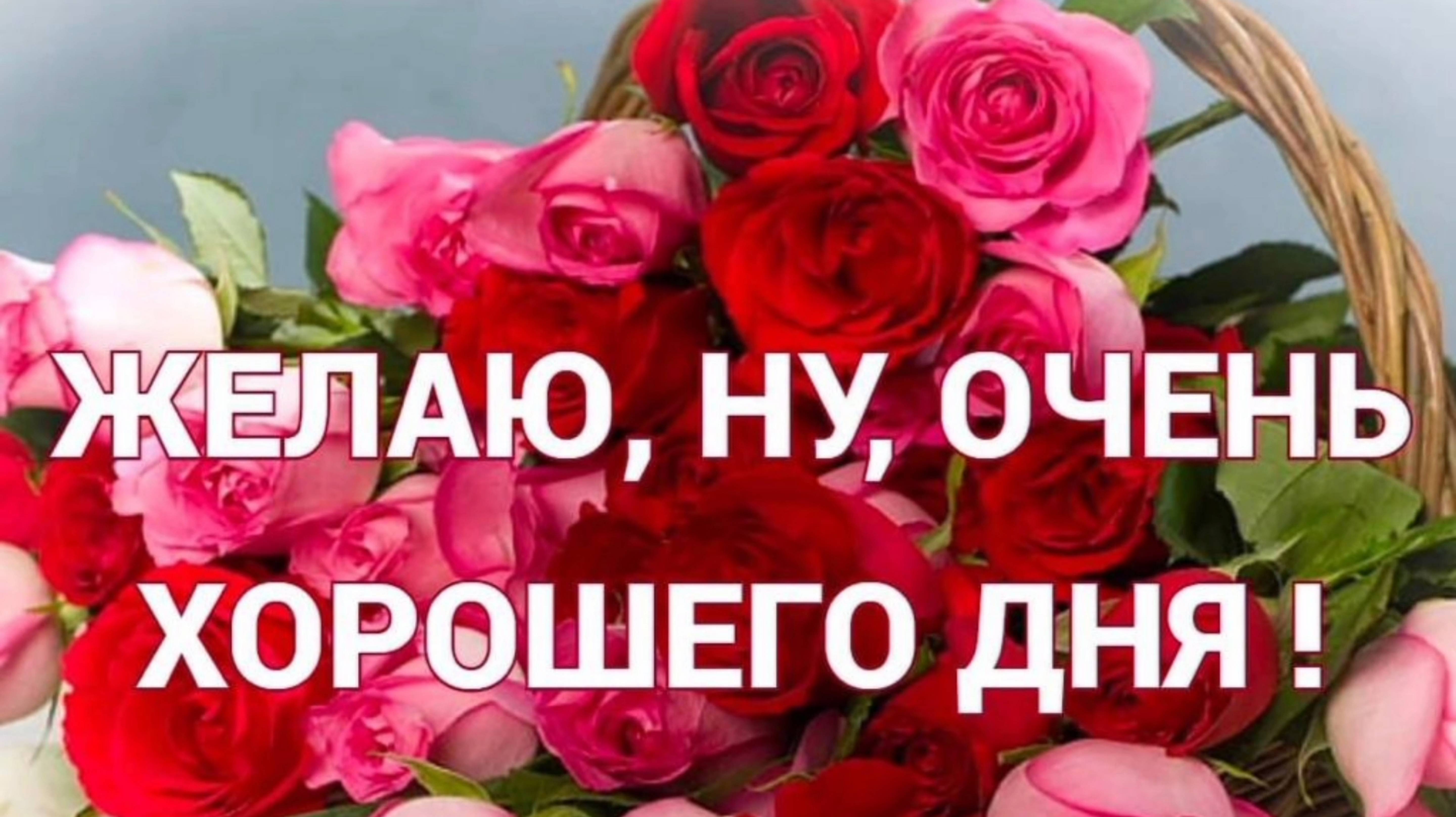 ВЕСЁЛЫХ И ОТЛИЧНЫХ ВЫХОДНЫХ!