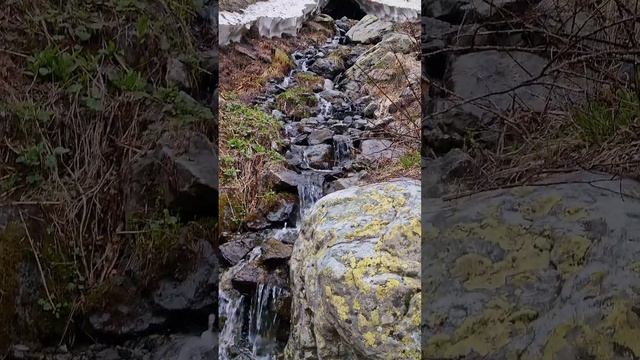 Кислые источники