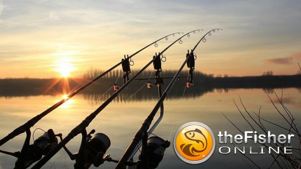 р.Верхняя Печора | Fisher Online 🦈