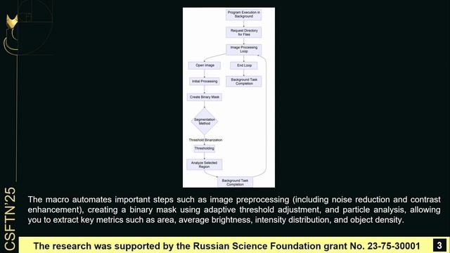 Quantitative Analysis Of Images Of Biological Objects Using Macros In The FIJI Environment