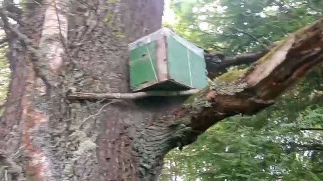 Попались злодейки смотреть онлайн