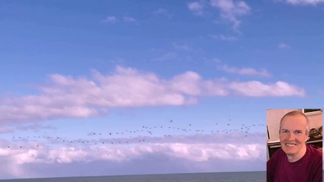 Настрои Сытина Сердце море  Бахтин