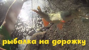 Рыбалка на дорожку! Самая уловистая снасть!