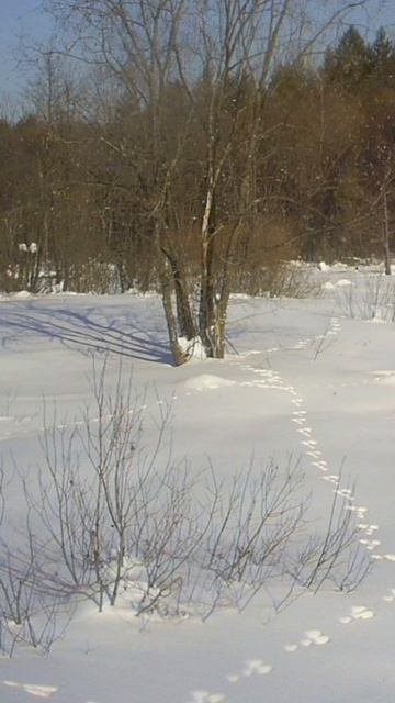 (44) Библия Евангелие от Иоанна глава 10 стих 33-42 смотреть онлайн