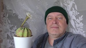 21 июня 2025 год. Цветёт кактус. Белый цветок